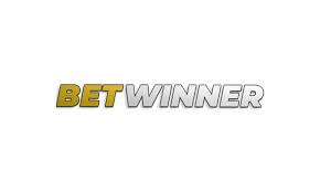 Baji Online Cricket Betting Your Guide to Winning Big Baji Online Cricket Betting Your Guide to Winning Big