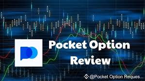 Everything You Need to Know About Your Account Pocket Option 14